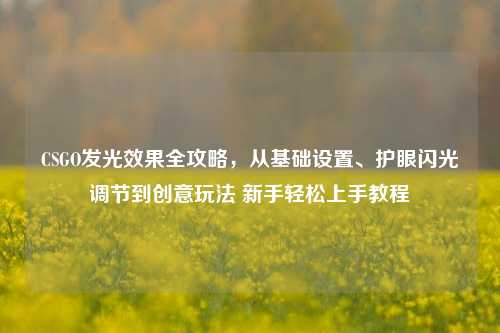 CSGO发光效果全攻略,从基础设置、护眼闪光调节到创意玩法 新手轻松上手教程