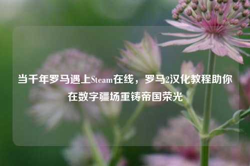 当千年罗马遇上Steam在线,罗马2汉化教程助你在数字疆场重铸帝国荣光