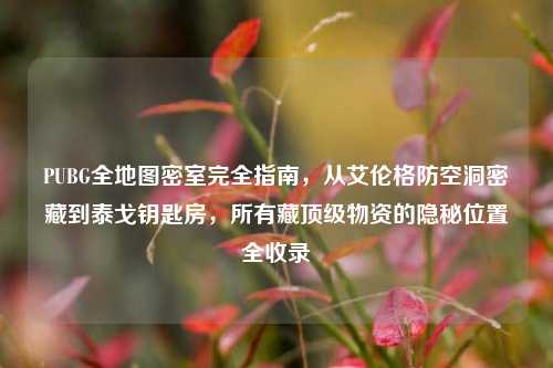 PUBG全地图密室完全指南，从艾伦格防空洞密藏到泰戈钥匙房，所有藏顶级物资的隐秘位置全收录