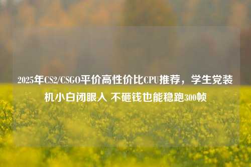 2025年CS2/CSGO平价高性价比CPU推荐，学生党装机小白闭眼入 不砸钱也能稳跑300帧