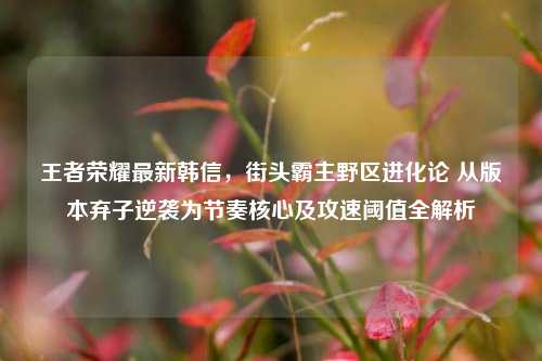 王者荣耀最新韩信，街头霸主野区进化论 从版本弃子逆袭为节奏核心及攻速阈值全解析