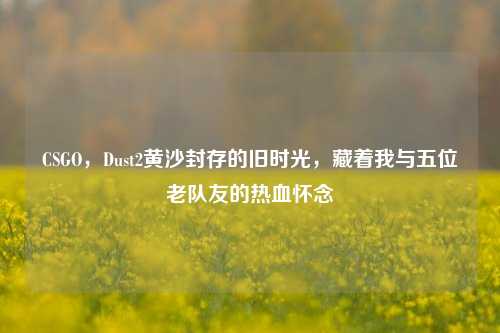 CSGO，Dust2黄沙封存的旧时光，藏着我与五位老队友的热血怀念