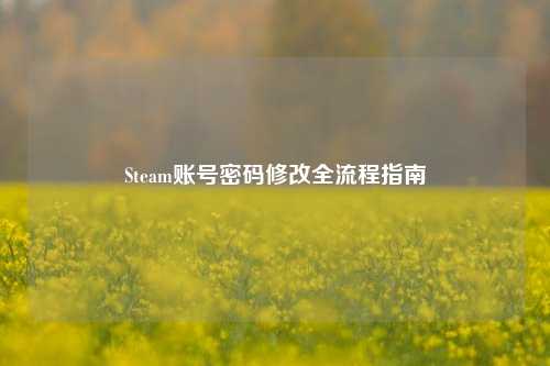 Steam账号密码修改全流程指南