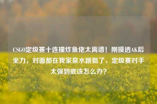 CSGO定级赛十连撞炸鱼佬太离谱!刚摸透AK后坐力,对面都在我家泉水跳狙了,定级赛对手太强到底该怎么办?