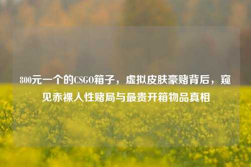 800元一个的CSGO箱子，虚拟皮肤豪赌背后，窥见赤裸人性赌局与最贵开箱物品真相