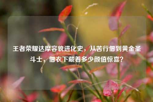 王者荣耀达摩容貌进化史,从苦行僧到黄金圣斗士,僧衣下藏着多少颜值惊喜?