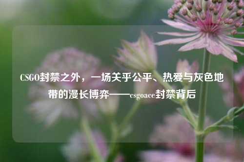 CSGO封禁之外,一场关乎公平、热爱与灰色地带的漫长博弈——csgoace封禁背后