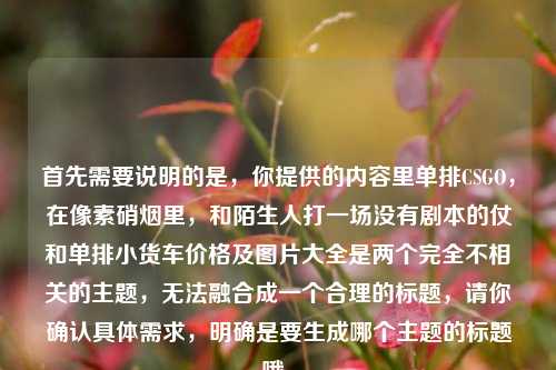 首先需要说明的是，你提供的内容里单排CSGO，在像素硝烟里，和陌生人打一场没有剧本的仗和单排小货车价格及图片大全是两个完全不相关的主题，无法融合成一个合理的标题，请你确认具体需求，明确是要生成哪个主题的标题哦。