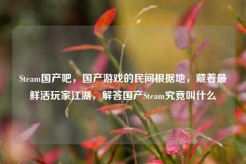 Steam国产吧，国产游戏的民间根据地，藏着最鲜活玩家江湖，解答国产Steam究竟叫什么