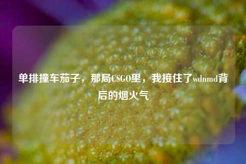 单排撞车茄子，那局CSGO里，我接住了wdnmd背后的烟火气