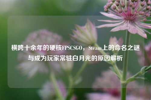 横跨十余年的硬核FPSCSGO，Steam上的命名之谜与成为玩家常驻白月光的原因解析