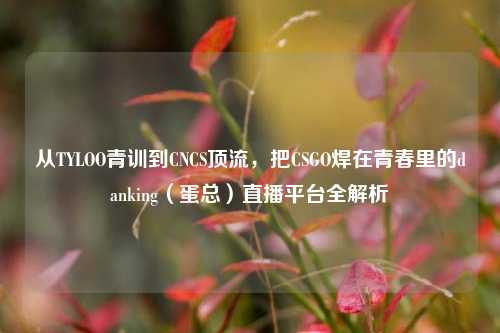 从TYLOO青训到CNCS顶流,把CSGO焊在青春里的danking(蛋总)直播平台全解析