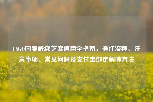 CSGO国服解绑芝麻信用全指南，操作流程、注意事项、常见问题及支付宝绑定解除方法