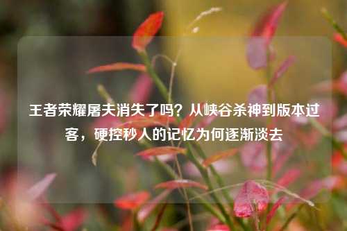 王者荣耀屠夫消失了吗？从峡谷杀神到版本过客，硬控秒人的记忆为何逐渐淡去