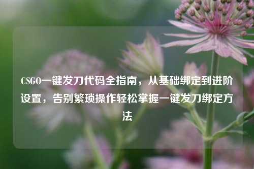 CSGO一键发刀代码全指南,从基础绑定到进阶设置,告别繁琐操作轻松掌握一键发刀绑定方法