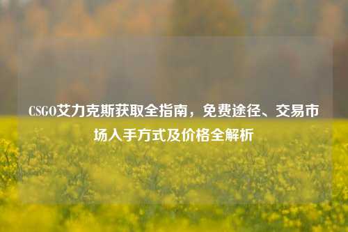 CSGO艾力克斯获取全指南，免费途径、交易市场入手方式及价格全解析