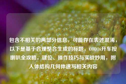 包含不相关的两部分信息，可能存在表述混淆，以下是基于合理整合生成的标题，COD16开车按喇叭全攻略，键位、操作技巧与实战妙用，附人体结构几何体速写相关内容
