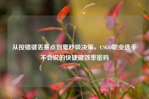 从按错键丢赛点到毫秒级决策，CSGO职业选手不会说的快捷键效率密码