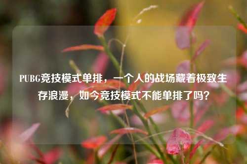 PUBG竞技模式单排,一个人的战场藏着极致生存浪漫,如今竞技模式不能单排了吗?