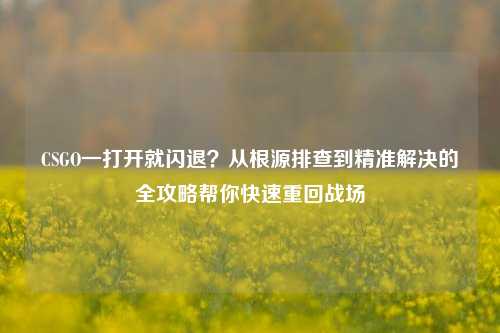 CSGO一打开就闪退？从根源排查到精准解决的全攻略帮你快速重回战场