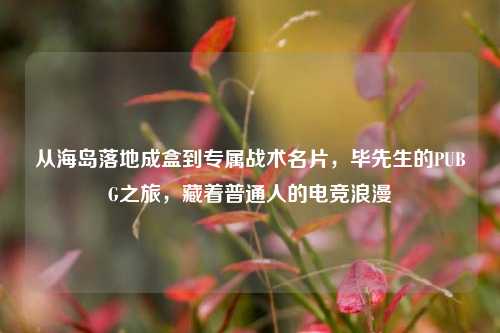从海岛落地成盒到专属战术名片，毕先生的PUBG之旅，藏着普通人的电竞浪漫