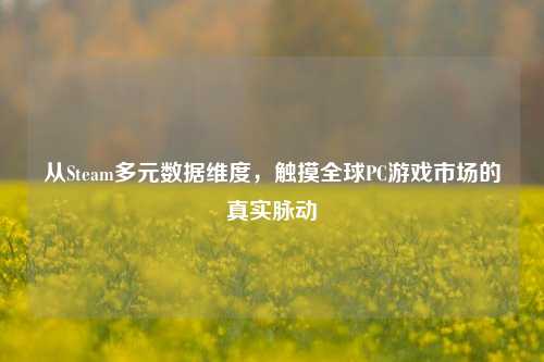 从Steam多元数据维度,触摸全球PC游戏市场的真实脉动