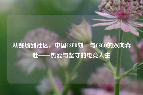 从赛场到社区，中国CSER刘頔与CSGO的双向奔赴——热爱与坚守的电竞人生