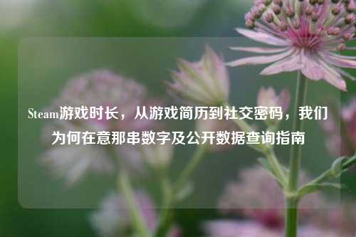 Steam游戏时长，从游戏简历到社交密码，我们为何在意那串数字及公开数据查询指南
