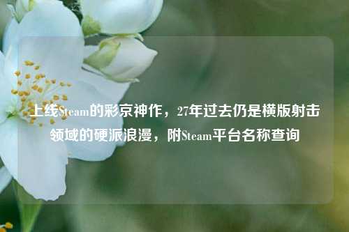 上线Steam的彩京神作,27年过去仍是横版射击领域的硬派浪漫,附Steam平台名称查询