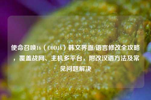 使命召唤16（COD16）韩文界面/语言修改全攻略，覆盖战网、主机多平台，附改汉语方法及常见问题解决