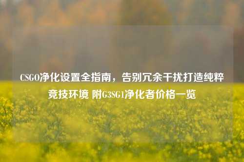 CSGO净化设置全指南，告别冗余干扰打造纯粹竞技环境 附G3SG1净化者价格一览