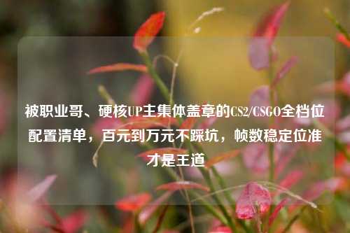 被职业哥、硬核UP主集体盖章的CS2/CSGO全档位配置清单,百元到万元不踩坑,帧数稳定位准才是王道