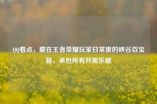 QQ看点，藏在王者荣耀玩家日常里的峡谷百宝箱，承包所有开黑乐趣