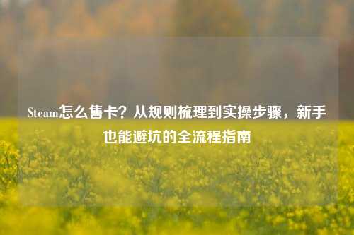 Steam怎么售卡？从规则梳理到实操步骤，新手也能避坑的全流程指南
