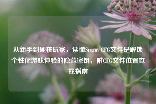 从新手到硬核玩家，读懂Steam CFG文件是解锁个性化游戏体验的隐藏密钥，附CFG文件位置查找指南