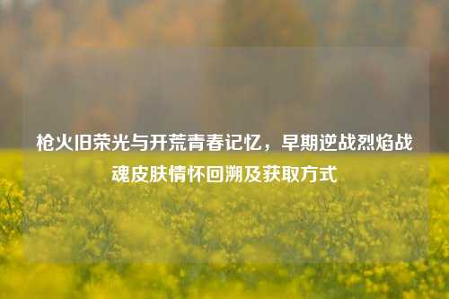 枪火旧荣光与开荒青春记忆,早期逆战烈焰战魂皮肤情怀回溯及获取方式
