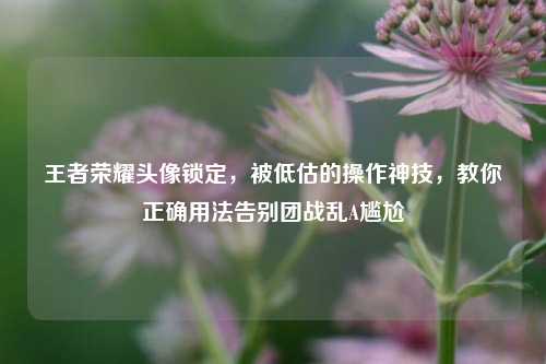 王者荣耀头像锁定,被低估的操作神技,教你正确用法告别团战乱A尴尬