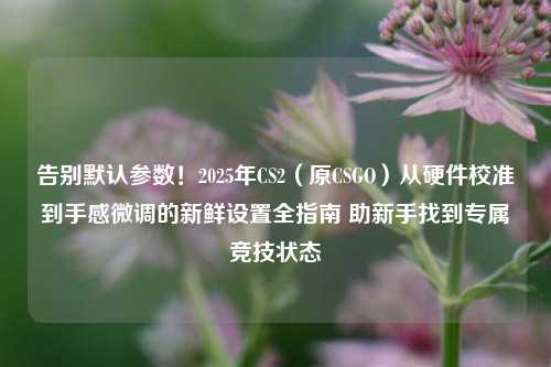 告别默认参数!2025年CS2(原CSGO)从硬件校准到手感微调的新鲜设置全指南 助新手找到专属竞技状态