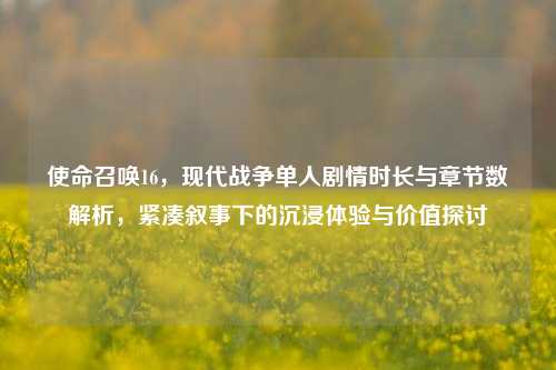 使命召唤16，现代战争单人剧情时长与章节数解析，紧凑叙事下的沉浸体验与价值探讨