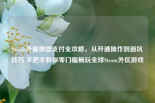 Steam外服微信支付全攻略,从开通操作到避坑技巧 手把手教你零门槛畅玩全球Steam外区游戏