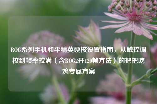 ROG系列手机和平精英硬核设置指南,从触控调校到帧率拉满(含ROG2开120帧方法)的把把吃鸡专属方案