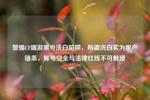 警惕CF端游黑号洗白陷阱，所谓洗白实为黑产链条，账号安全与法律红线不可触碰
