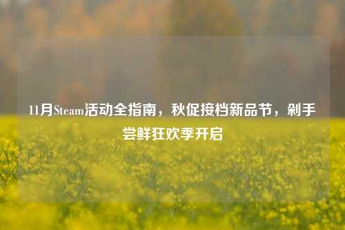 11月Steam活动全指南，秋促接档新品节，剁手尝鲜狂欢季开启
