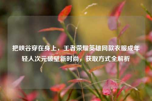 把峡谷穿在身上,王者荣耀英雄同款衣服成年轻人次元破壁新时尚,获取方式全解析
