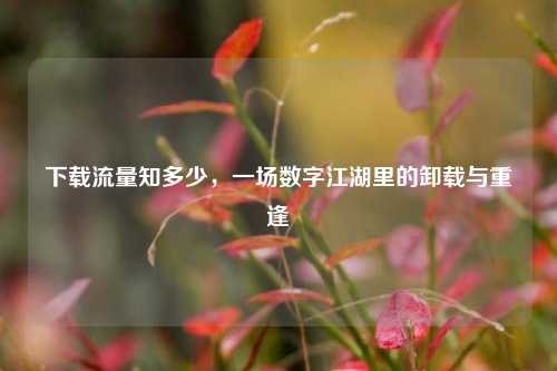 下载流量知多少，一场数字江湖里的卸载与重逢