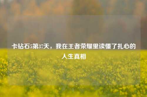 卡钻石5第37天，我在王者荣耀里读懂了扎心的人生真相