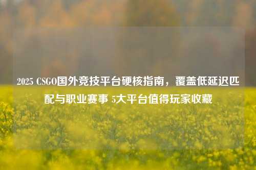 2025 CSGO国外竞技平台硬核指南，覆盖低延迟匹配与职业赛事 5大平台值得玩家收藏