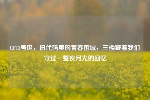 CF13号区，旧代码里的青春围城，三楼藏着我们守过一整夜月光的回忆