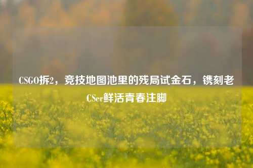CSGO拆2，竞技地图池里的残局试金石，镌刻老CSer鲜活青春注脚