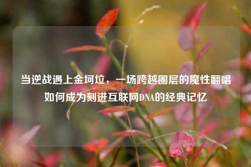 当逆战遇上金坷垃,一场跨越圈层的魔性翻唱如何成为刻进互联网DNA的经典记忆